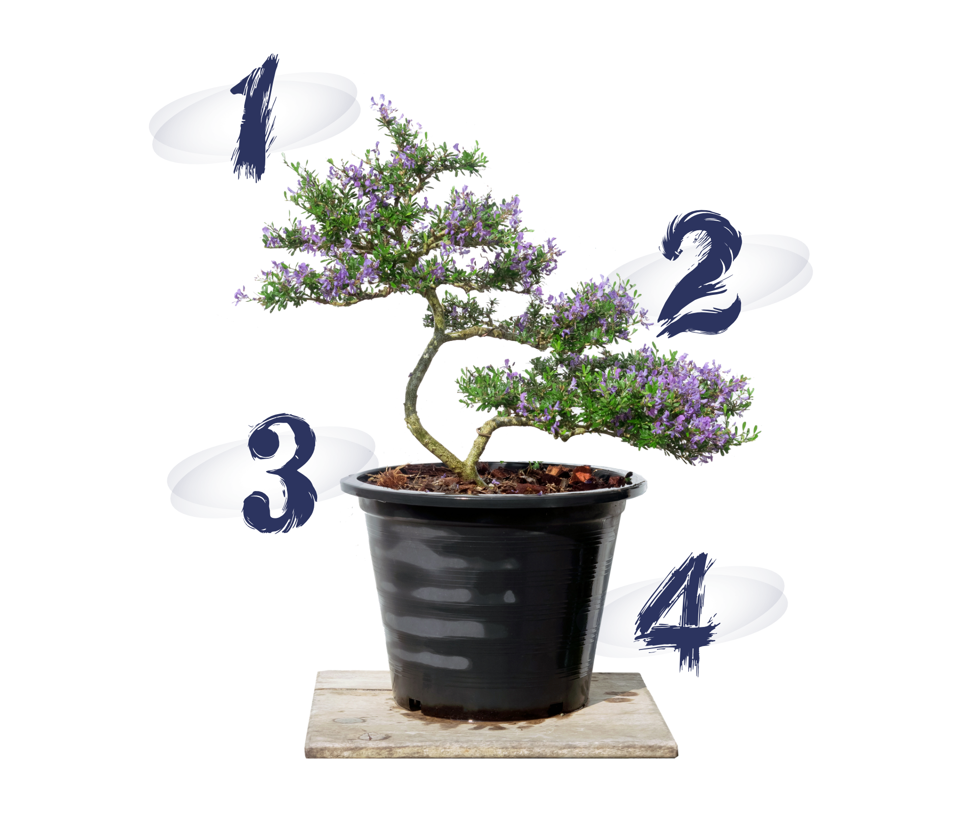 controle_qualite_dejardinage_espace_verts_perpignan.png