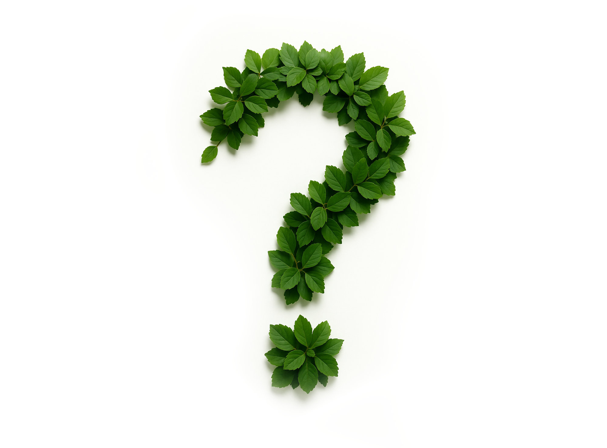 question_faq_dejardinage_espace_verts_perpignan.jpg